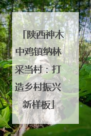 陕西神木中鸡镇纳林采当村：打造乡村振兴新样板