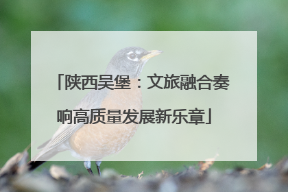 陕西吴堡：文旅融合奏响高质量发展新乐章