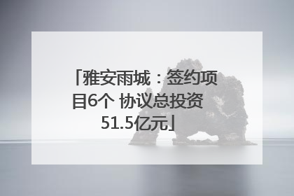 雅安雨城：签约项目6个 协议总投资51.5亿元