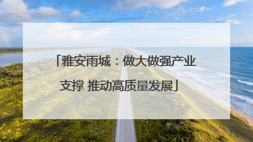 雅安雨城：做大做强产业支撑 推动高质量发展