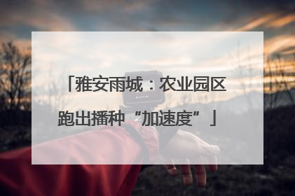 雅安雨城：农业园区跑出播种“加速度”