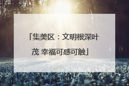 集美区：文明根深叶茂 幸福可感可触