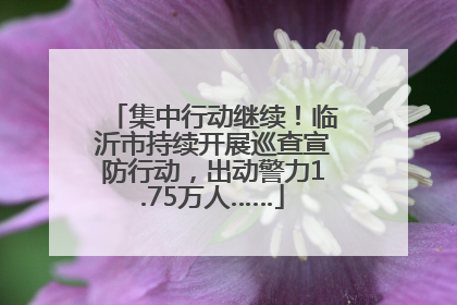 集中行动继续！临沂市持续开展巡查宣防行动，出动警力1.75万人……