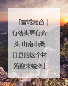 雪域湘音｜有劲头更有奔头 山南市桑日县的这个村落迎来蜕变