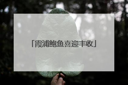 霞浦鲍鱼喜迎丰收
