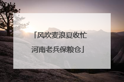 风吹麦浪夏收忙 河南老兵保粮仓