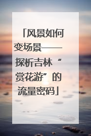 风景如何变场景——探析吉林“赏花游”的流量密码