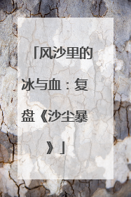 风沙里的冰与血：复盘《沙尘暴》