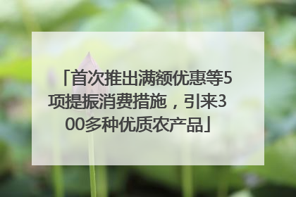 首次推出满额优惠等5项提振消费措施，引来300多种优质农产品