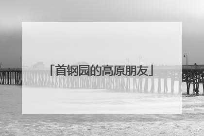 首钢园的高原朋友