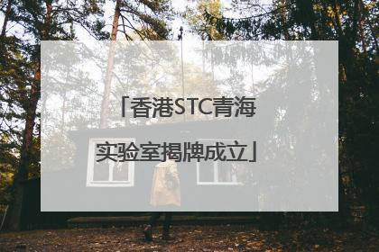 香港STC青海实验室揭牌成立