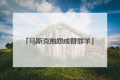 马斯克抱怨成替罪羊