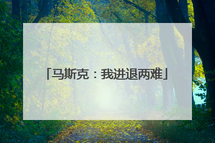 马斯克：我进退两难