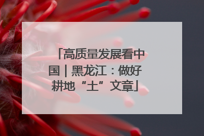 高质量发展看中国｜黑龙江：做好耕地“土”文章
