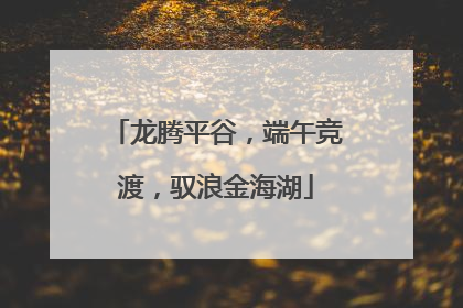 龙腾平谷，端午竞渡，驭浪金海湖