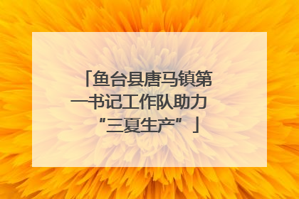 鱼台县唐马镇第一书记工作队助力“三夏生产”