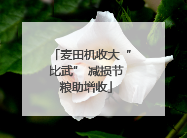 麦田机收大“比武” 减损节粮助增收