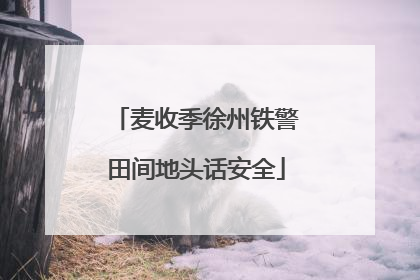麦收季徐州铁警田间地头话安全
