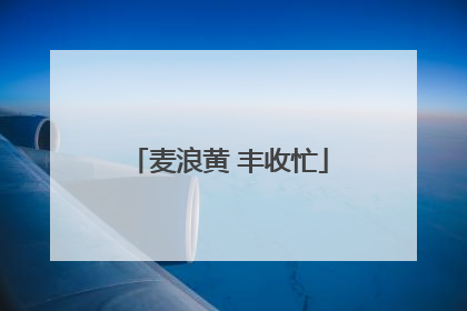 麦浪黄 丰收忙