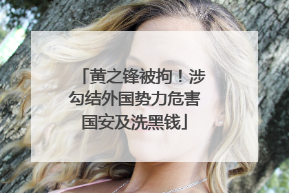 黄之锋被拘！涉勾结外国势力危害国安及洗黑钱