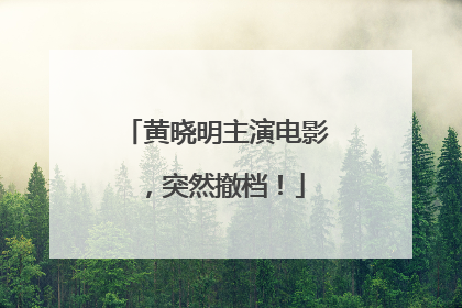 黄晓明主演电影，突然撤档！