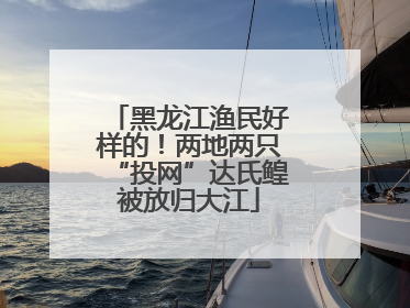 黑龙江渔民好样的！两地两只“投网”达氏鳇被放归大江