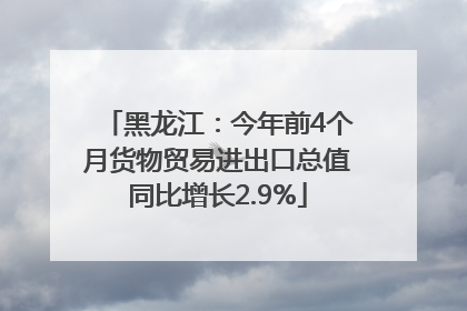 黑龙江：今年前4个月货物贸易进出口总值同比增长2.9%