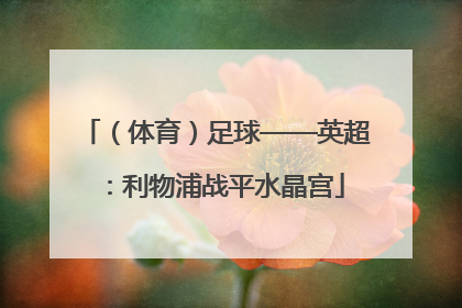 （体育）足球——英超：利物浦战平水晶宫