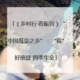 （乡村行·看振兴）“中国瓜菜之乡”：“莓”好前景 四季生金