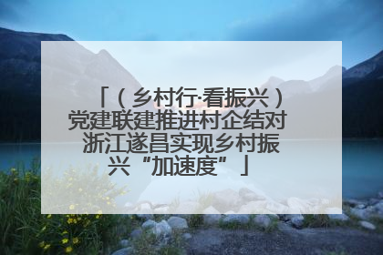 （乡村行·看振兴）党建联建推进村企结对 浙江遂昌实现乡村振兴“加速度”