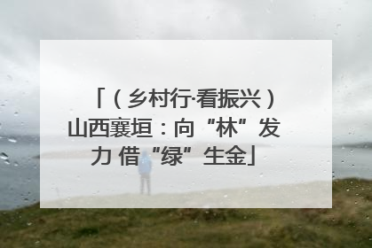 （乡村行·看振兴）山西襄垣：向“林”发力 借“绿”生金