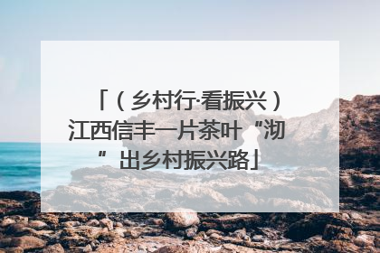 （乡村行·看振兴）江西信丰一片茶叶“沏”出乡村振兴路