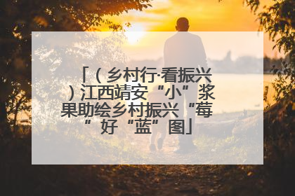 （乡村行·看振兴）江西靖安“小”浆果助绘乡村振兴“莓”好“蓝”图