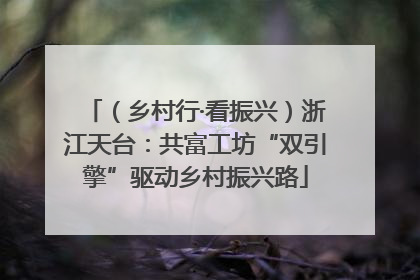（乡村行·看振兴）浙江天台：共富工坊“双引擎”驱动乡村振兴路