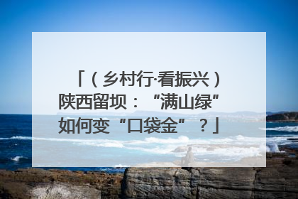 （乡村行·看振兴）陕西留坝：“满山绿”如何变“口袋金”？