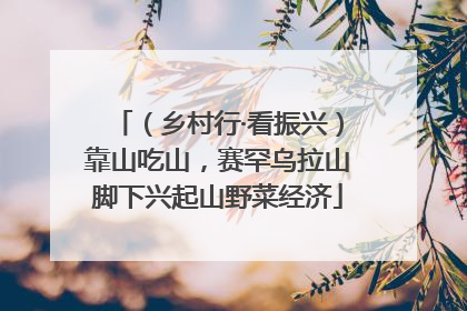 （乡村行·看振兴）靠山吃山，赛罕乌拉山脚下兴起山野菜经济