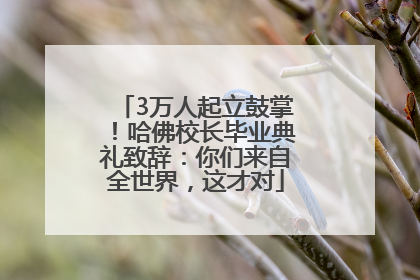 3万人起立鼓掌！哈佛校长毕业典礼致辞：你们来自全世界，这才对