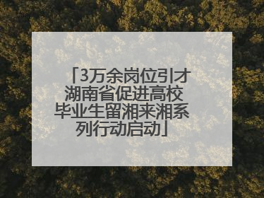 3万余岗位引才 湖南省促进高校毕业生留湘来湘系列行动启动