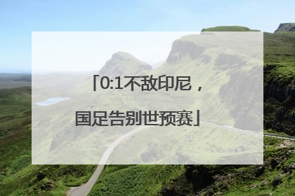 0:1不敌印尼，国足告别世预赛