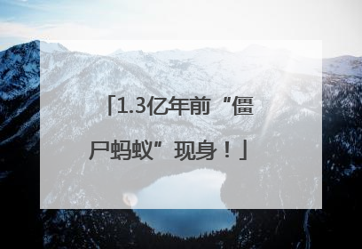 1.3亿年前“僵尸蚂蚁”现身！
