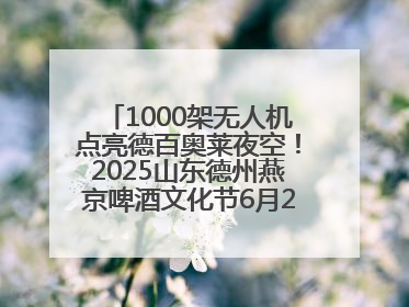 1000架无人机点亮德百奥莱夜空！2025山东德州燕京啤酒文化节6月20日启幕