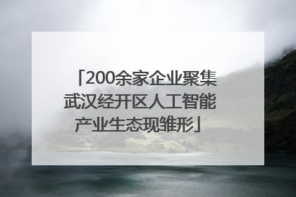 200余家企业聚集 武汉经开区人工智能产业生态现雏形