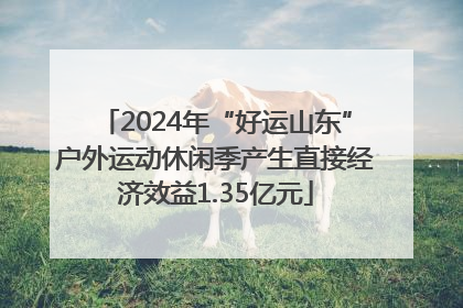 2024年“好运山东”户外运动休闲季产生直接经济效益1.35亿元