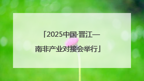 2025中国·晋江—南非产业对接会举行