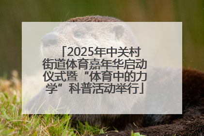 2025年中关村街道体育嘉年华启动仪式暨“体育中的力学”科普活动举行