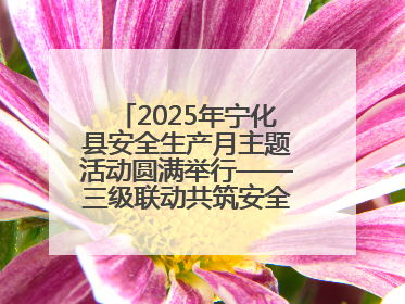 2025年宁化县安全生产月主题活动圆满举行——三级联动共筑安全防线 探索老区安全发展新路径