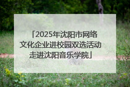 2025年沈阳市网络文化企业进校园双选活动走进沈阳音乐学院