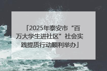 2025年泰安市“百万大学生进社区”社会实践提质行动顺利举办