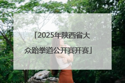 2025年陕西省大众跆拳道公开赛开赛