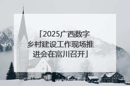 2025广西数字乡村建设工作现场推进会在富川召开